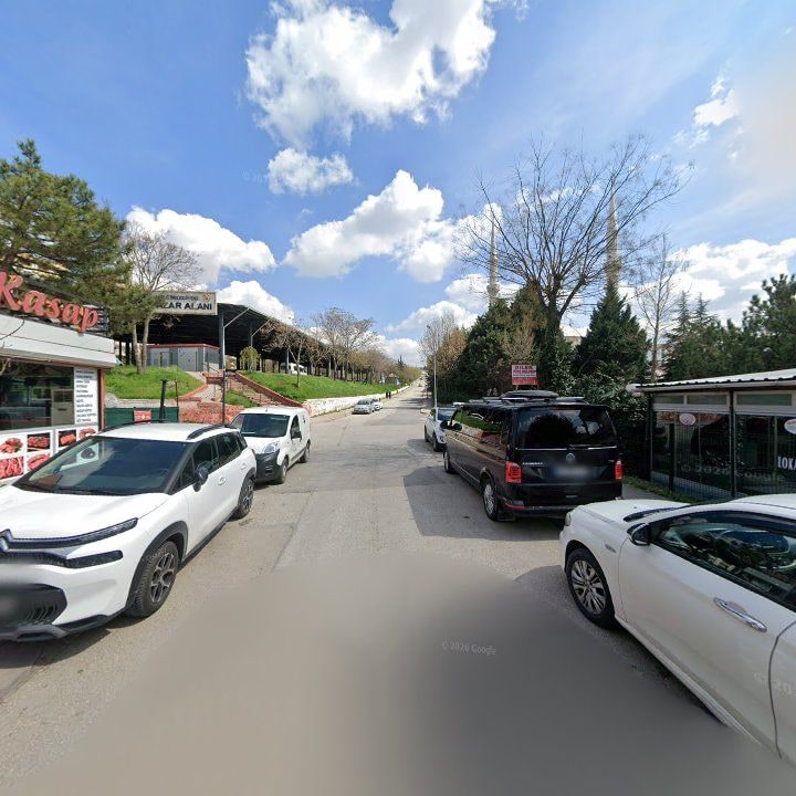 Fotoğraf 8