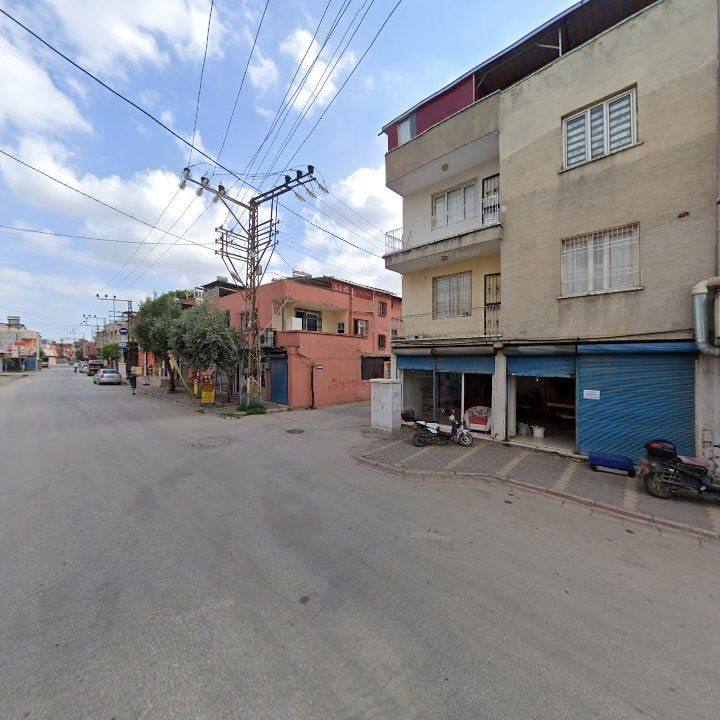 Fotoğraf 8