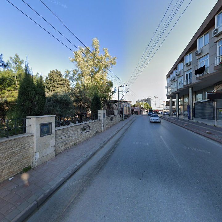 Fotoğraf 10