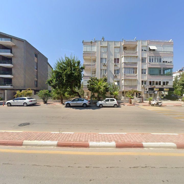 Fotoğraf 12