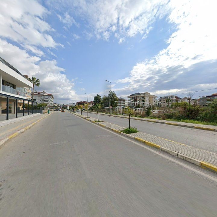 Fotoğraf 11