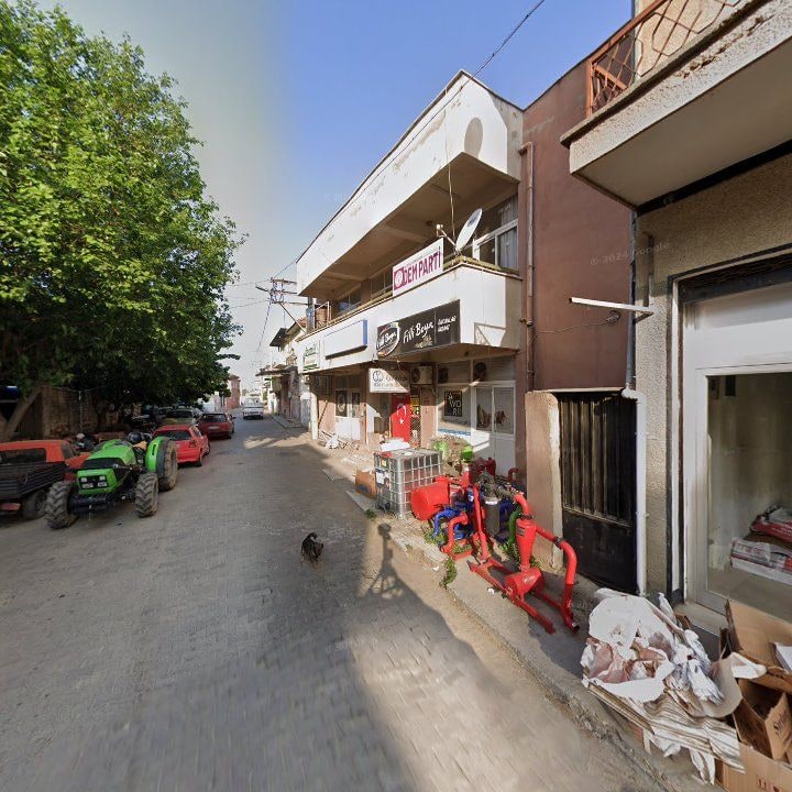 Fotoğraf 8
