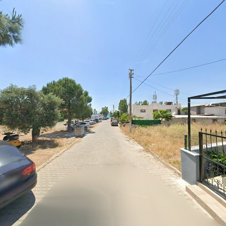 Fotoğraf 11