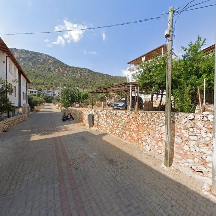 Fotoğraf 8