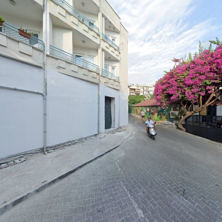 Fotoğraf 13