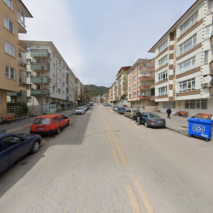 Fotoğraf 8