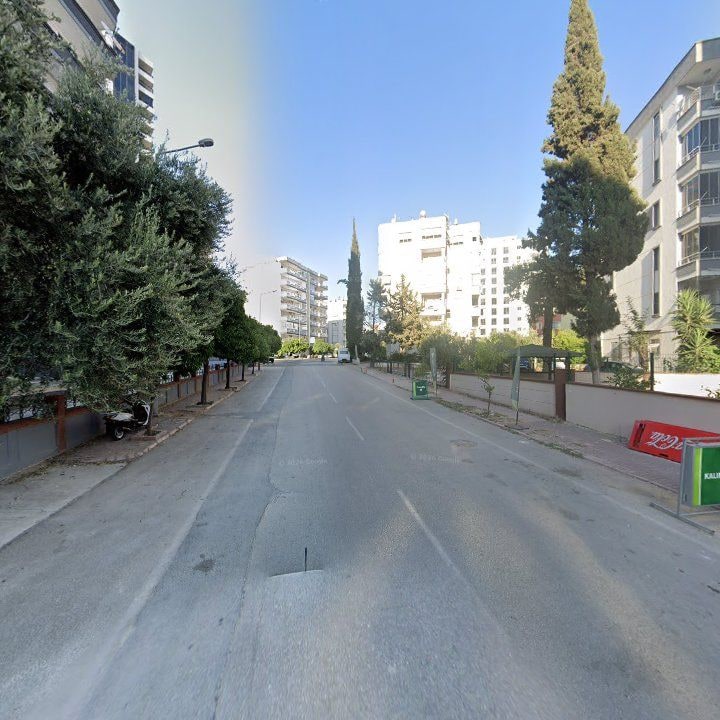 Fotoğraf 7