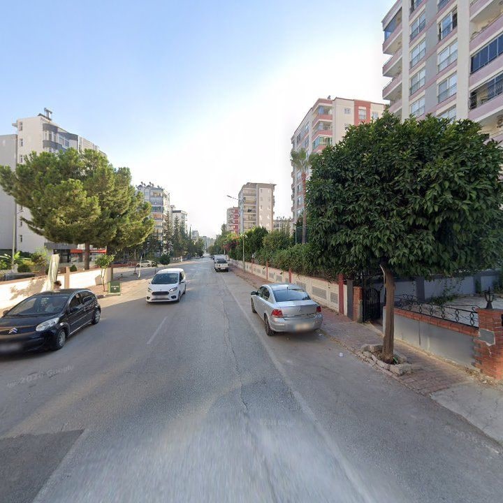 Fotoğraf 9