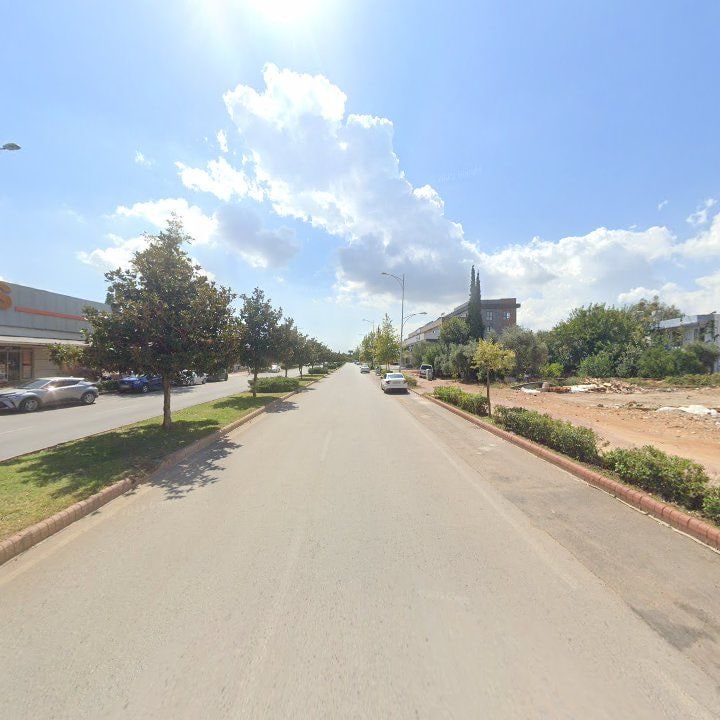 Fotoğraf 11