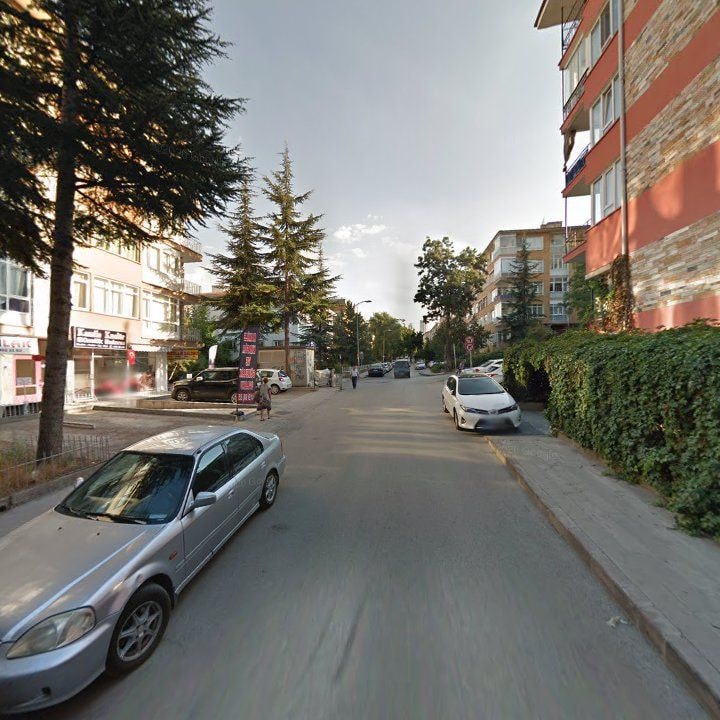 Fotoğraf 11