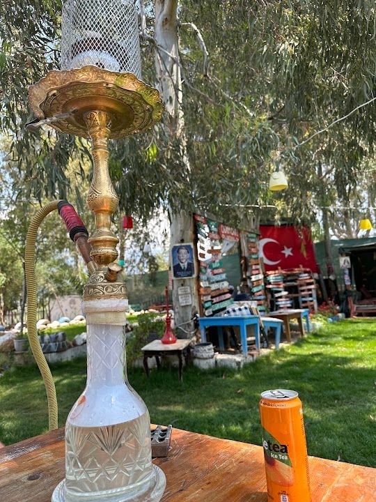 Fotoğraf 5