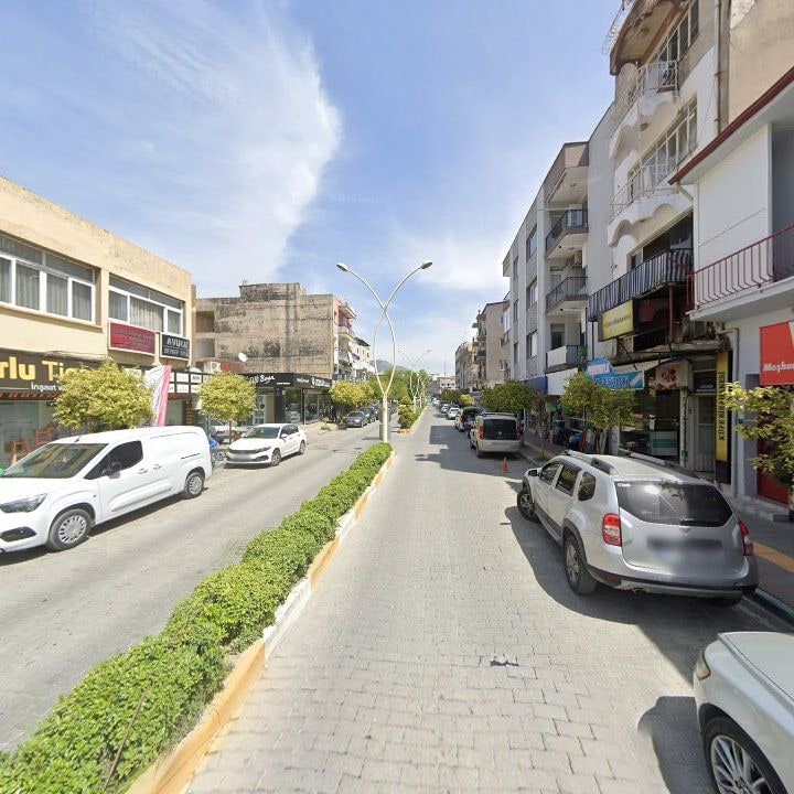 Fotoğraf 9