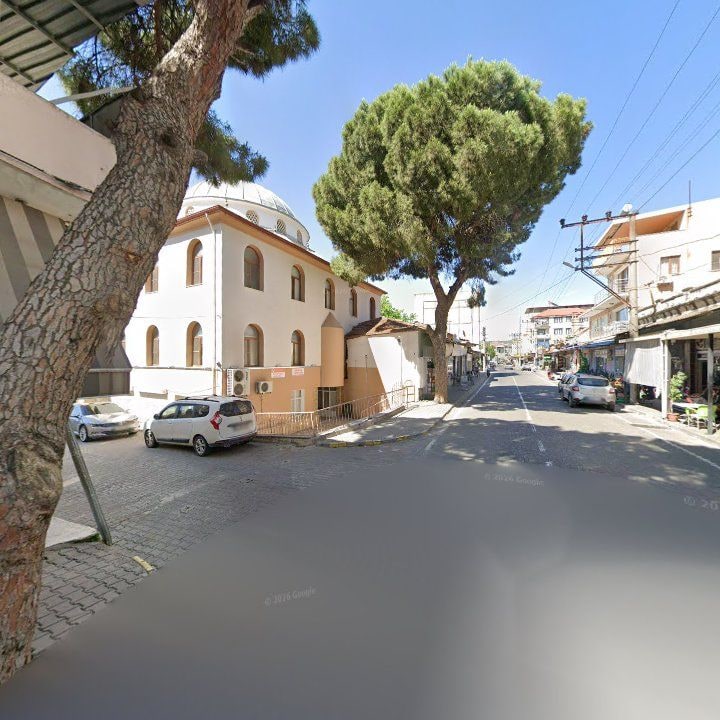 Fotoğraf 5