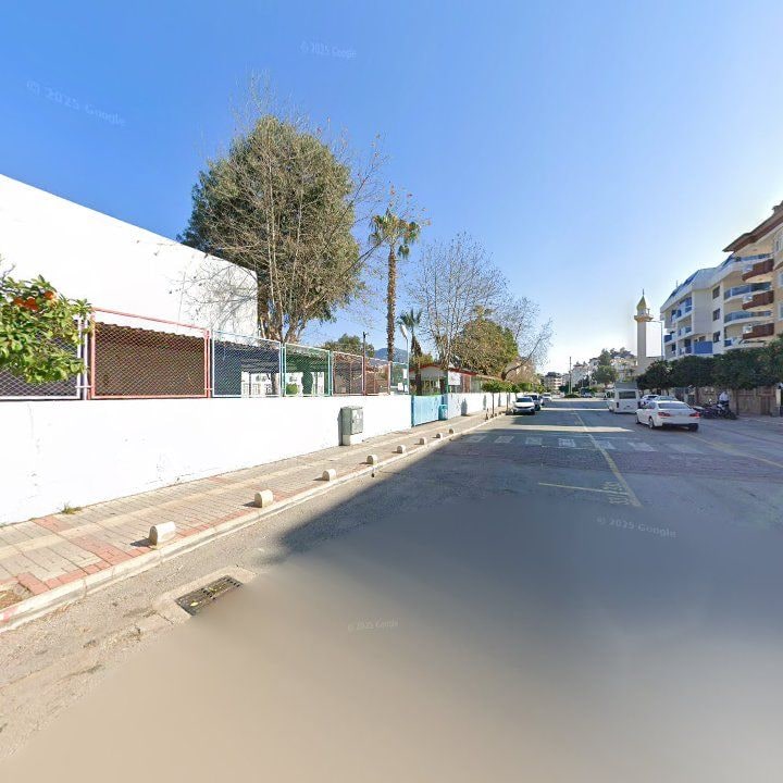 Fotoğraf 15