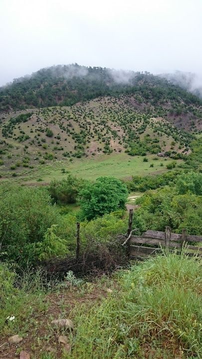 Obalı'nın Yeri - Yöresel Organik Tarım Ürünleri, Aile Piknik Ve Dinlenme Tesisi