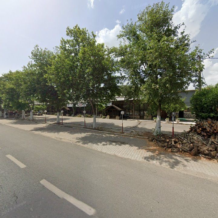 Fotoğraf 9