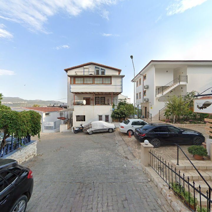 Fotoğraf 11