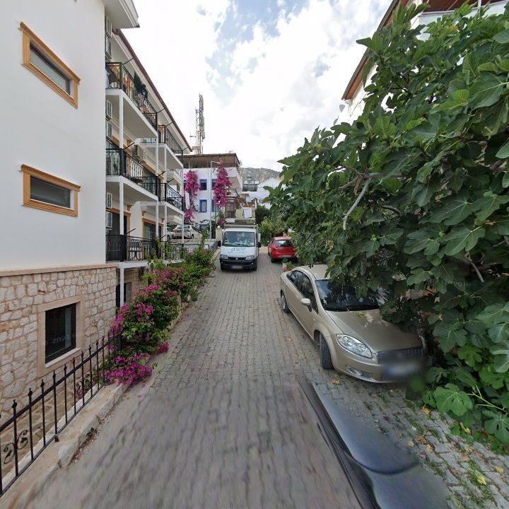 Fotoğraf 9