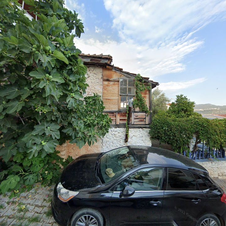Fotoğraf 10