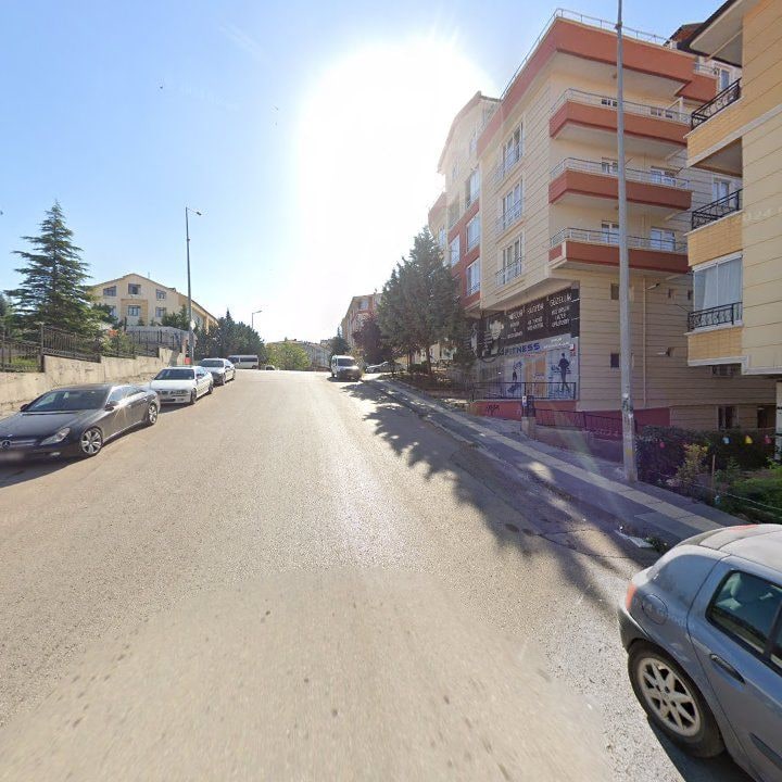 Fotoğraf 8
