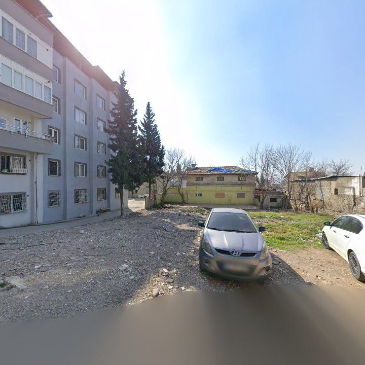 Fotoğraf 3