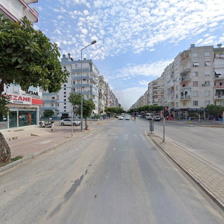 Fotoğraf 6