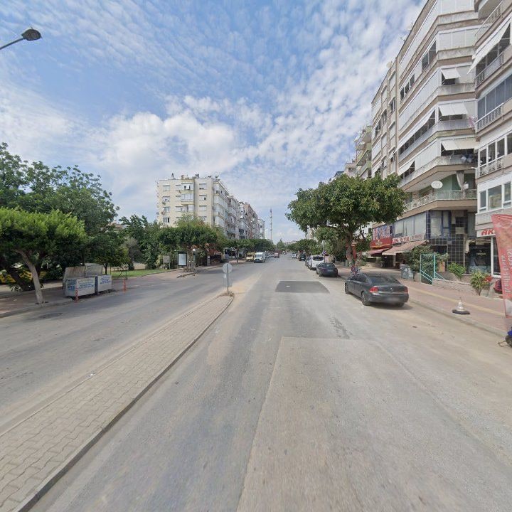 Fotoğraf 8
