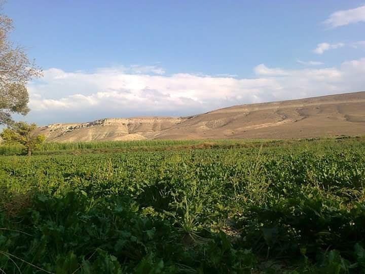 Oğlakçı
