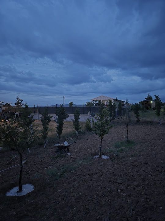 Oğuzun Bahçesi