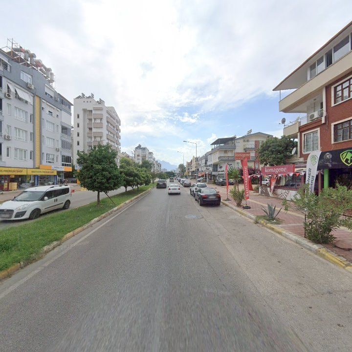 Fotoğraf 9