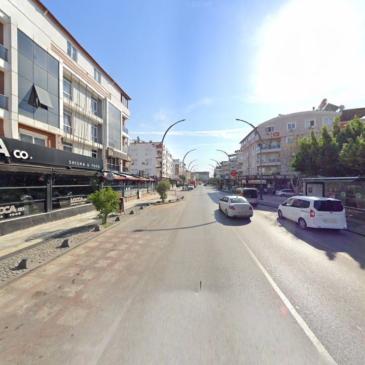 Fotoğraf 11