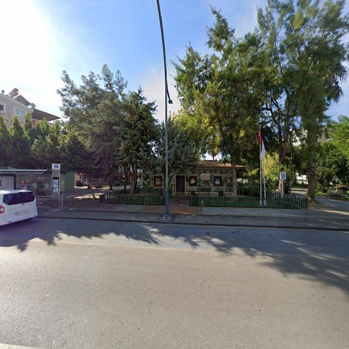 Fotoğraf 12