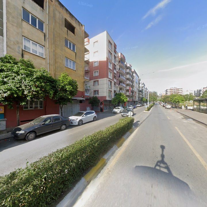 Fotoğraf 10