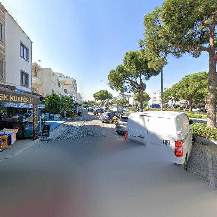 Fotoğraf 10