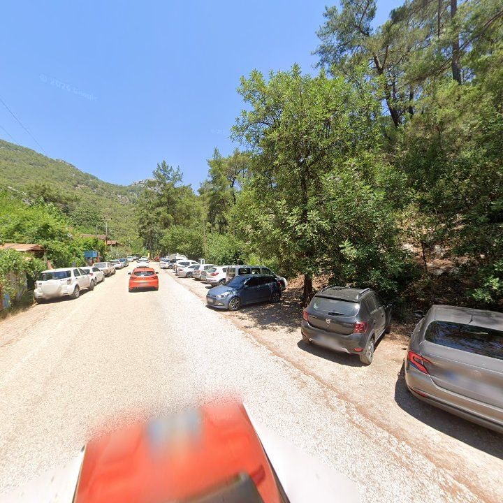 Fotoğraf 8