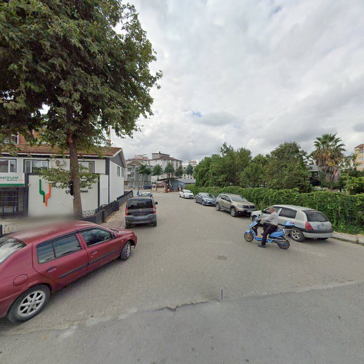 Fotoğraf 7
