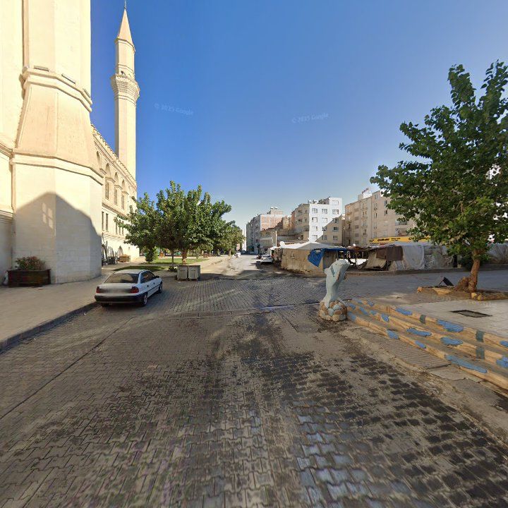 Fotoğraf 10