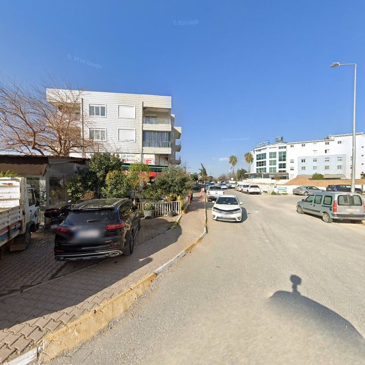 Fotoğraf 13