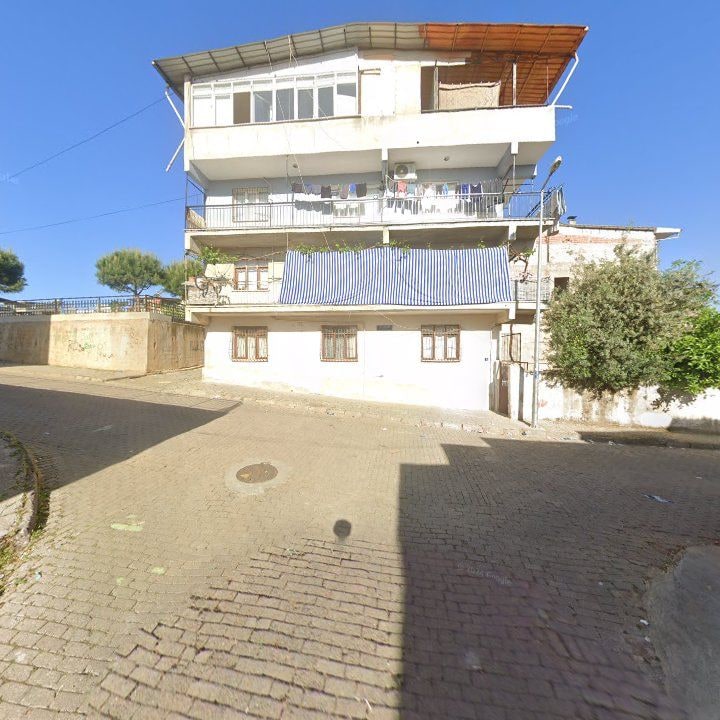 Fotoğraf 8
