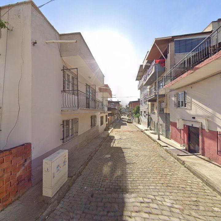 Fotoğraf 10