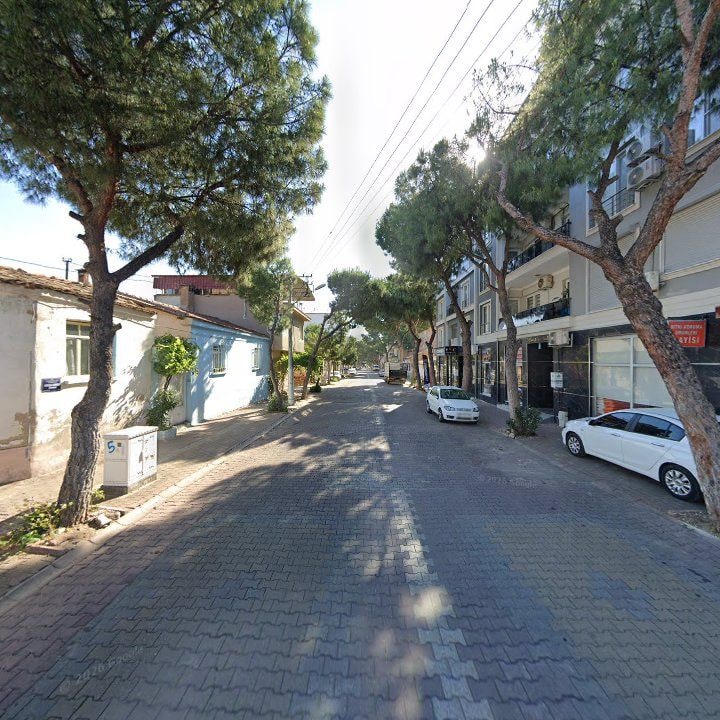 Fotoğraf 7