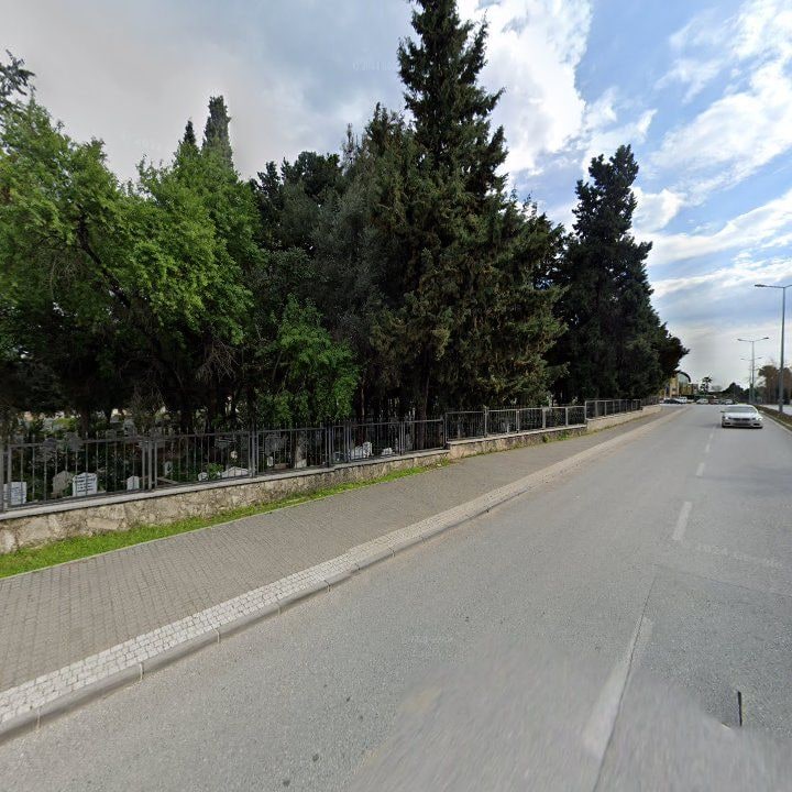 Fotoğraf 10