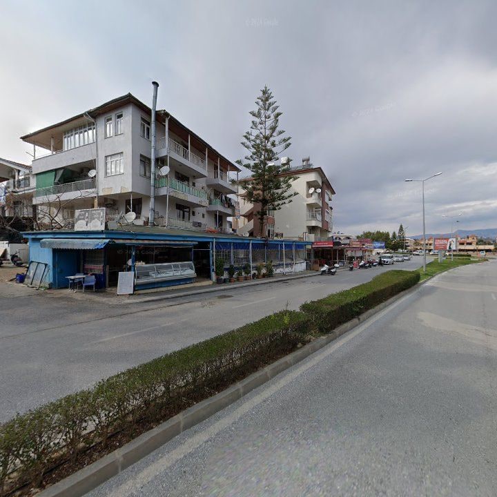 Fotoğraf 8