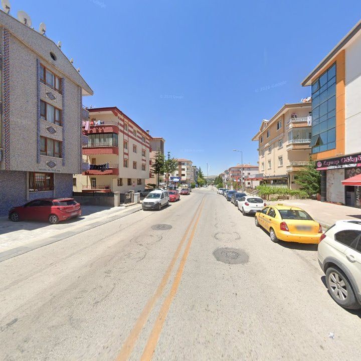 Fotoğraf 9