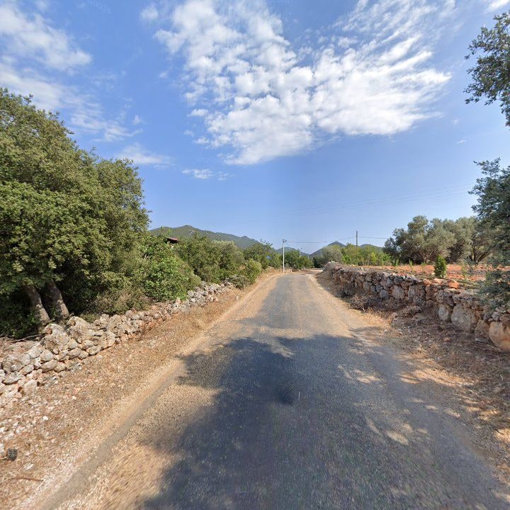Fotoğraf 12