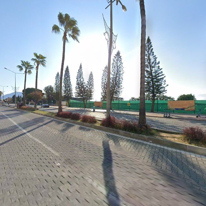 Fotoğraf 11