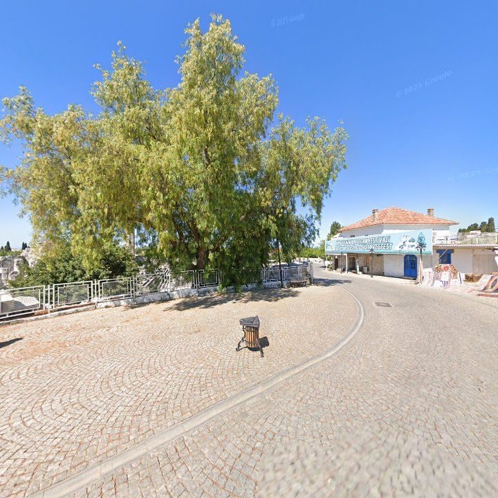 Fotoğraf 8