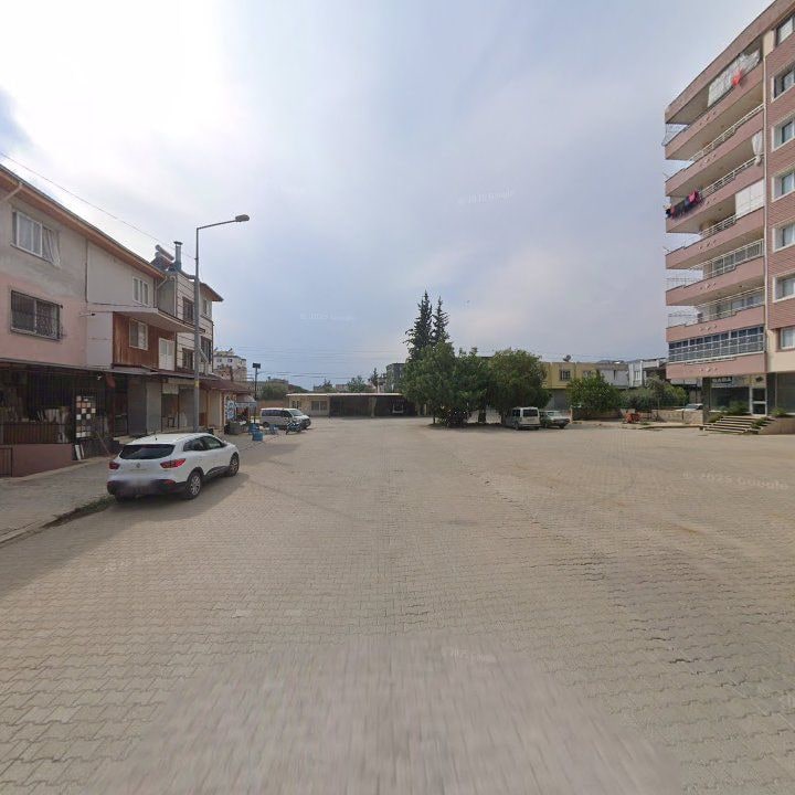 Fotoğraf 9