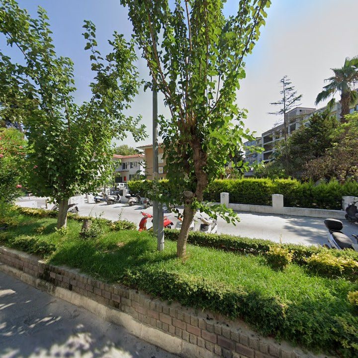 Fotoğraf 6