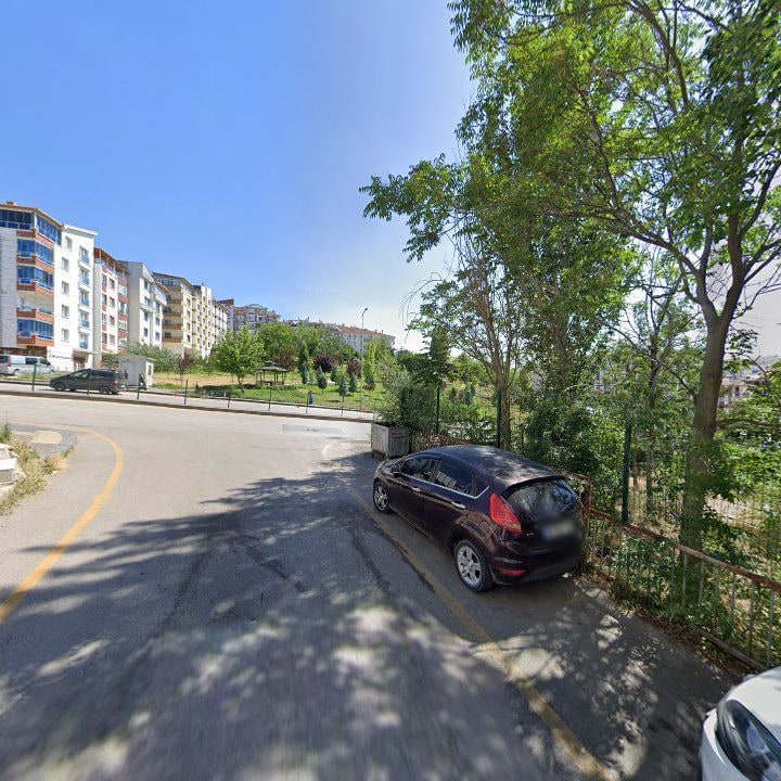 Fotoğraf 8